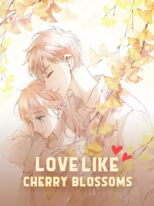 Love Like Cherry Blossoms